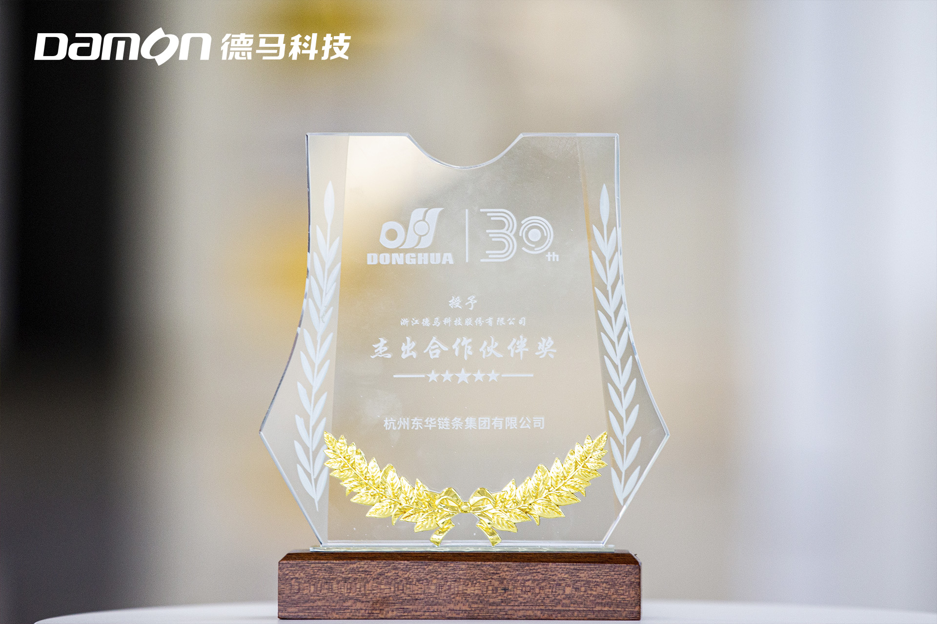 杰出合作伙伴獎(jiǎng)牌.jpg